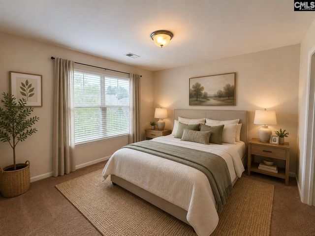 815 Burnview Lane, Chapin, SC 29036