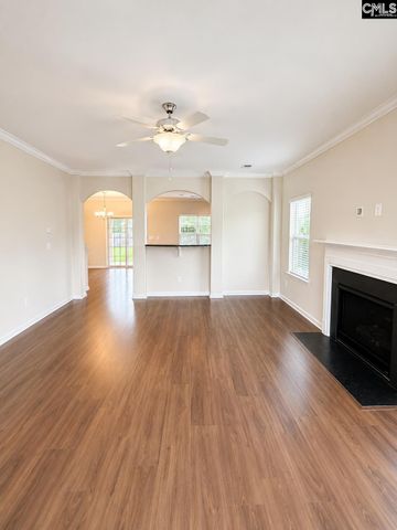 815 Burnview Lane, Chapin, SC 29036