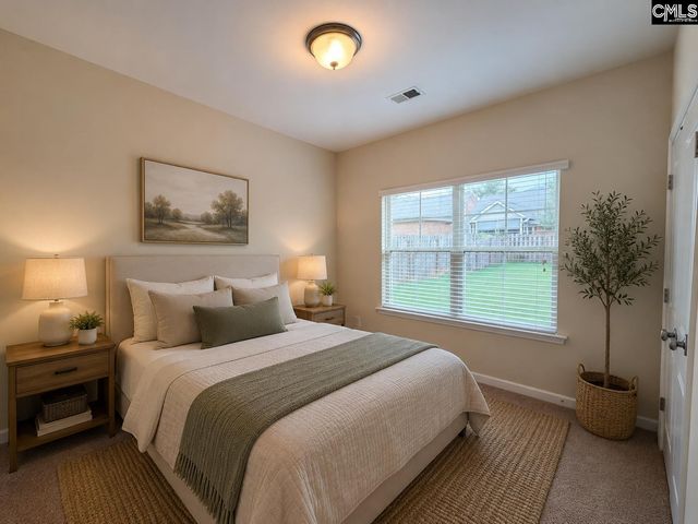 815 Burnview Lane, Chapin, SC 29036