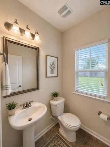815 Burnview Lane, Chapin, SC 29036