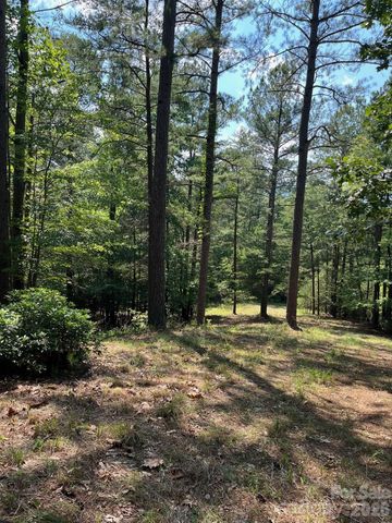 Lot 46 Lake Adger Parkway, Mill Spring, NC 28756