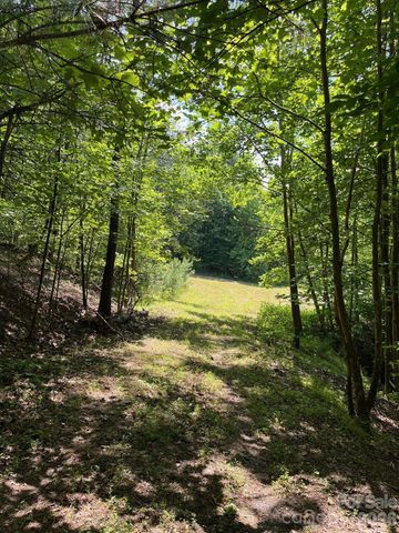 Lot 46 Lake Adger Parkway, Mill Spring, NC 28756