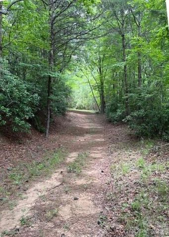 Lot 46 Lake Adger Parkway, Mill Spring, NC 28756