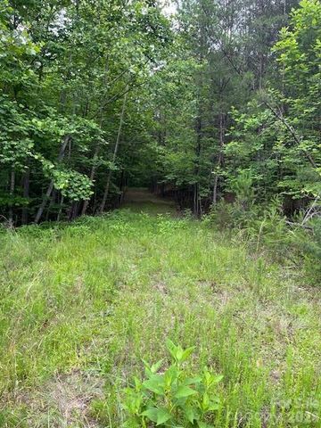 Lot 46 Lake Adger Parkway, Mill Spring, NC 28756