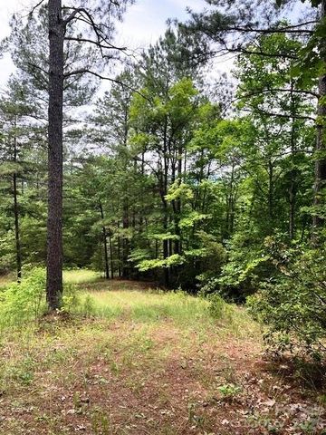 Lot 46 Lake Adger Parkway, Mill Spring, NC 28756
