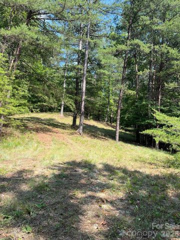 Lot 46 Lake Adger Parkway, Mill Spring, NC 28756