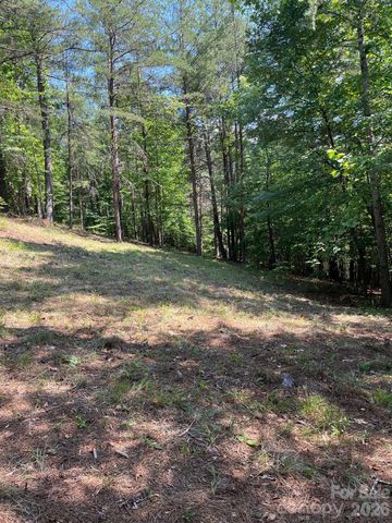 Lot 46 Lake Adger Parkway, Mill Spring, NC 28756