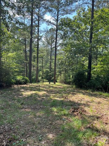 Lot 46 Lake Adger Parkway, Mill Spring, NC 28756