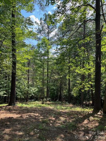 Lot 46 Lake Adger Parkway, Mill Spring, NC 28756