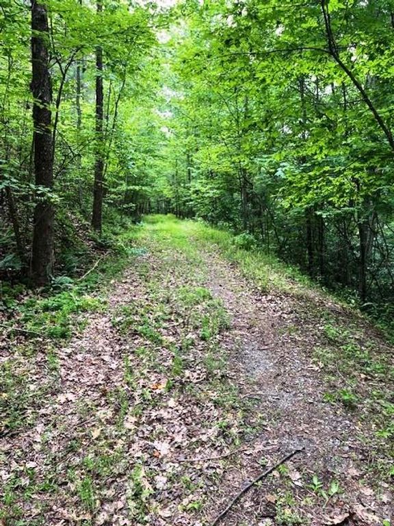 Lot 46 Lake Adger Parkway, Mill Spring, NC 28756