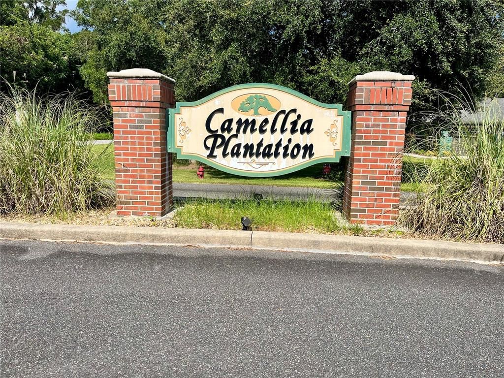 TBD SW 9TH STREET, Williston, FL 32696