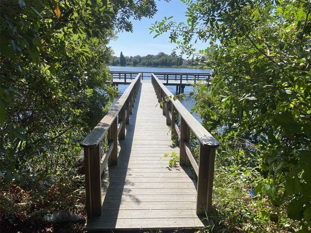 10422 LAKE MONTAUK DRIVE, Riverview, FL 33578