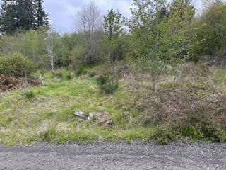 Elderberry Rd, Seaside, OR 97138