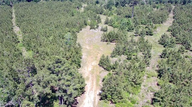 0 Robertson Road, Lovelady, TX 75851