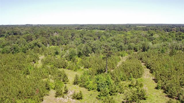 0 Robertson Road, Lovelady, TX 75851