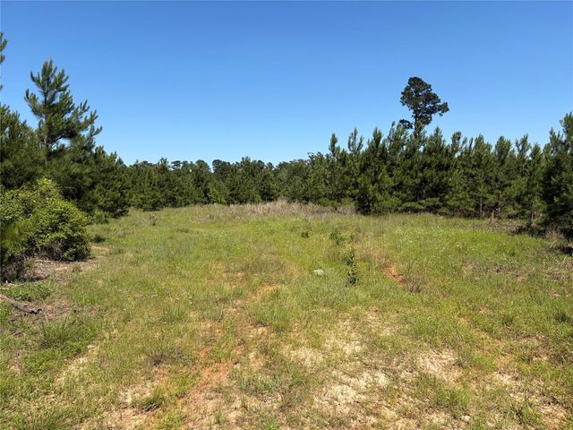 0 Robertson Road, Lovelady, TX 75851