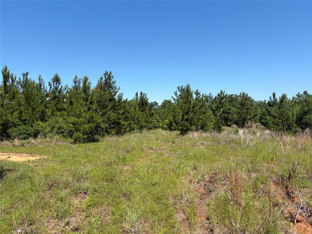 0 Robertson Road, Lovelady, TX 75851
