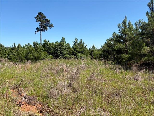 0 Robertson Road, Lovelady, TX 75851