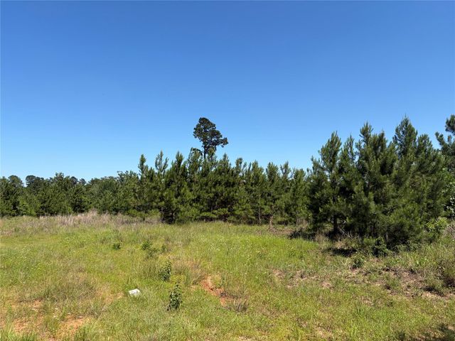 0 Robertson Road, Lovelady, TX 75851