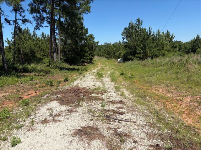 0 Robertson Road, Lovelady, TX 75851