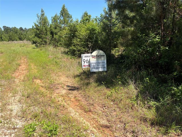 0 Robertson Road, Lovelady, TX 75851