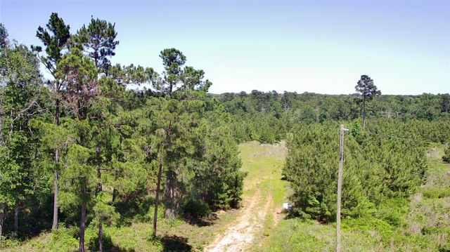 0 Robertson Road, Lovelady, TX 75851
