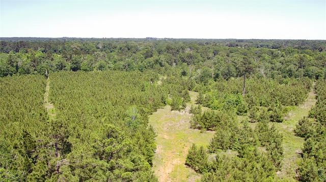 0 Robertson Road, Lovelady, TX 75851