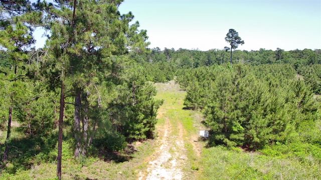 0 Robertson Road, Lovelady, TX 75851