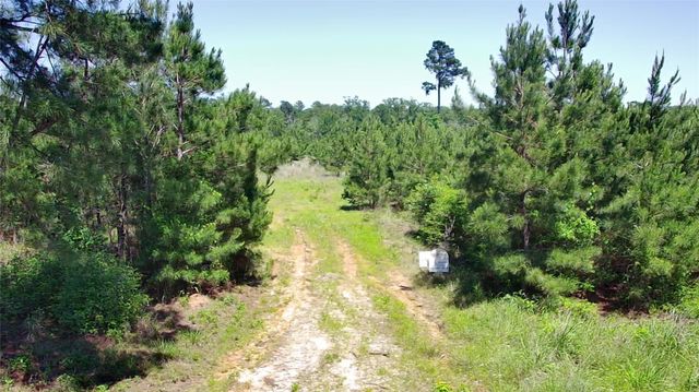 0 Robertson Road, Lovelady, TX 75851