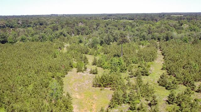 0 Robertson Road, Lovelady, TX 75851
