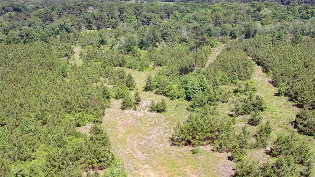 0 Robertson Road, Lovelady, TX 75851