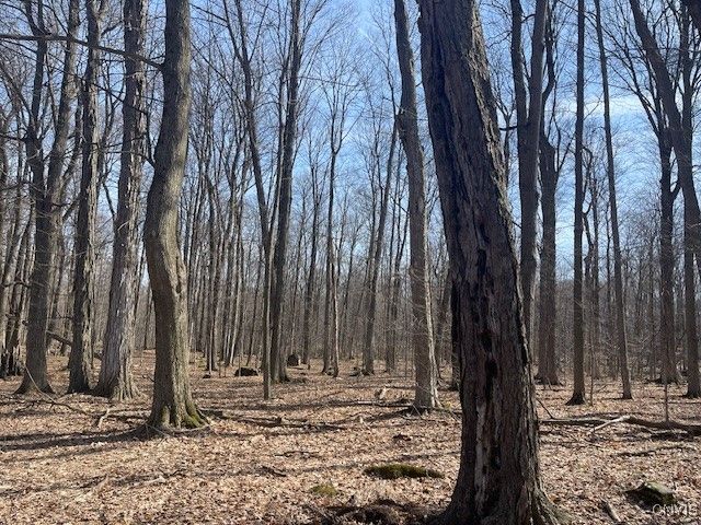 Harris Road, Onondaga, NY 13031