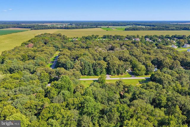 17659 MEADOW DR, Bridgeville, DE 19933