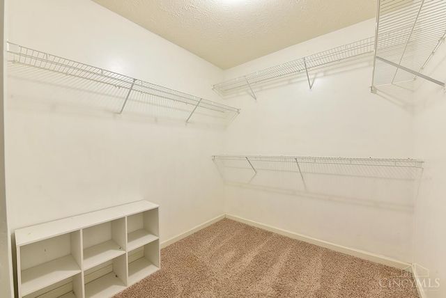 1503 Corbin Drive, Miami Twp, OH 45150
