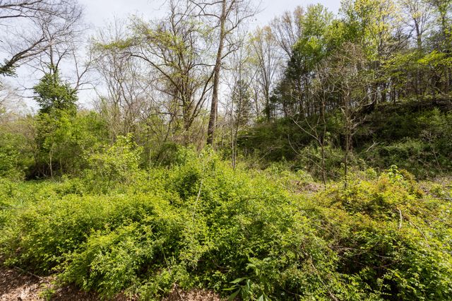 4940 Sellers Ford Road, Hartville, MO 65667