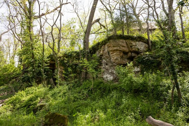 4940 Sellers Ford Road, Hartville, MO 65667