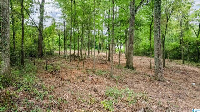 3613 MONTCLAIR ROAD, Mountain Brook, AL 35213