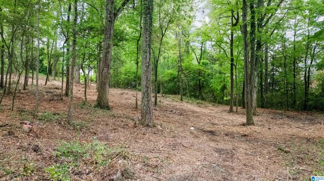 3613 MONTCLAIR ROAD, Mountain Brook, AL 35213