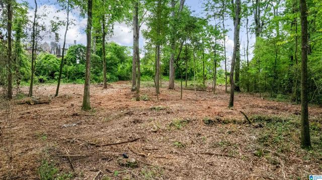 3613 MONTCLAIR ROAD, Mountain Brook, AL 35213