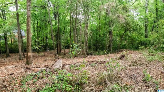 3613 MONTCLAIR ROAD, Mountain Brook, AL 35213