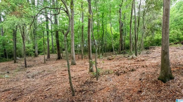 3613 MONTCLAIR ROAD, Mountain Brook, AL 35213