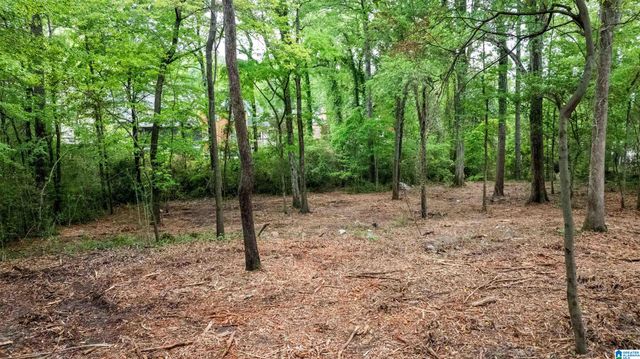 3613 MONTCLAIR ROAD, Mountain Brook, AL 35213