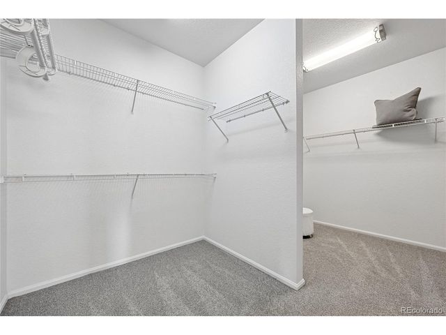 21665 Mount Elbert Pl, Parker, CO 80138