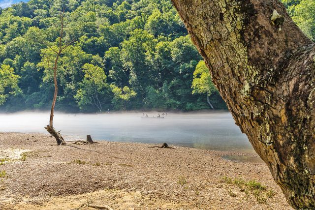 186 Bunker Ridge Drive 6, Branson, MO 65616