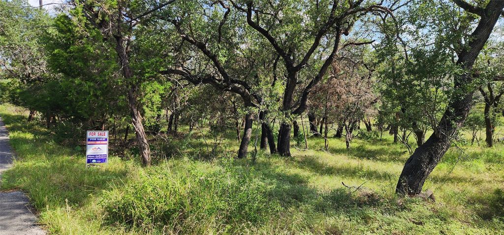 21411 Cardinal Ave, Lago Vista, TX 78645