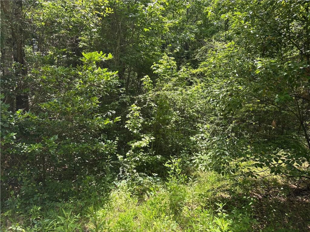 0 Pinehaven Drive, Mobile, AL 36605 — photo 3