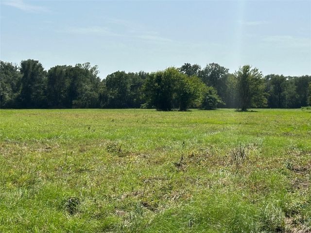 TRACT 24 Fm 2915, Lovelady, TX 75851