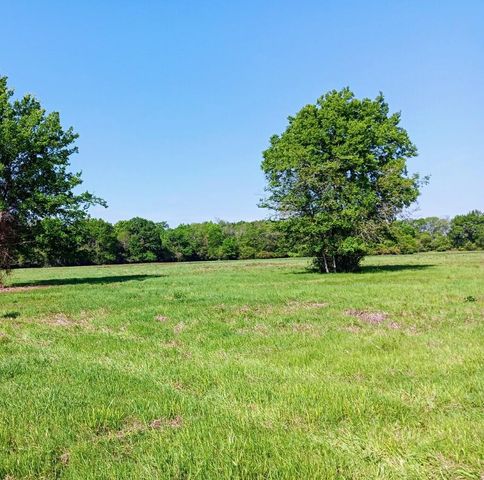 TRACT 24 Fm 2915, Lovelady, TX 75851