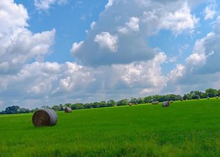 TRACT 24 Fm 2915, Lovelady, TX 75851