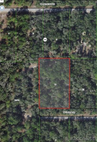 12989 W Flaxen Drive, Crystal River, FL 34428